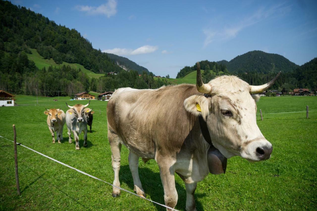 Geigers Ferienhaus Tiefenbach bei Oberstdorf Exterior photo